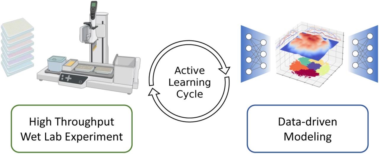 Combination of high-throughput wet lab experimentation and data-driven computation in a closely coupled active learning loop in order to identify novel molecules with exceptional properties